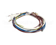 U00700 Globe Wiring Kit