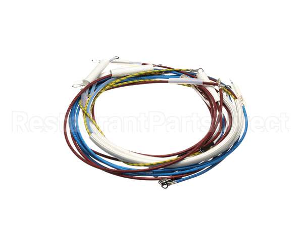 U00700 Globe Wiring Kit