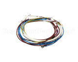 U00700 Globe Wiring Kit