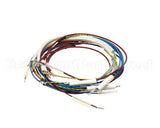 U00700 Globe Wiring Kit