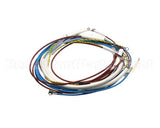 U00700 Globe Wiring Kit