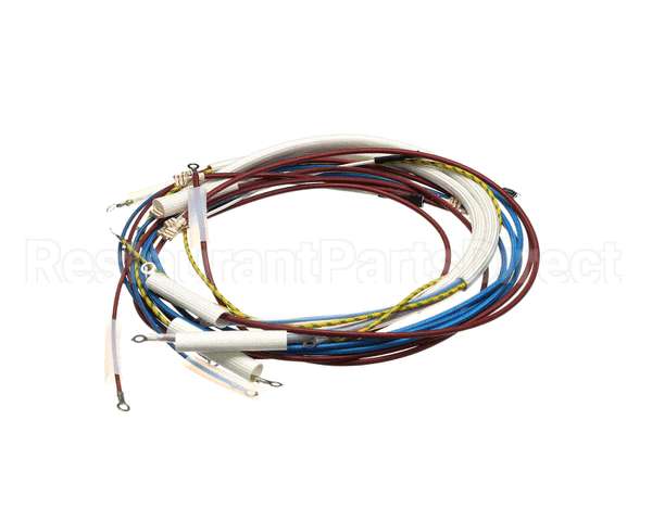 U00700 Globe Wiring Kit