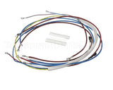 U00813 Globe Wiring Kit