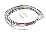 U00813 Globe Wiring Kit