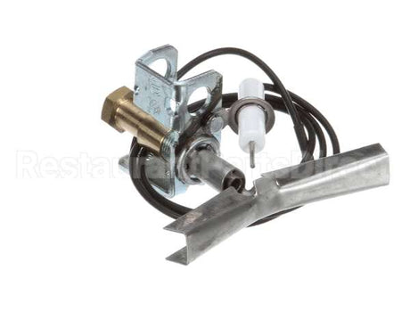 U01211069001 Globe Ods Flame Protection Ng