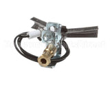 U01211069001 Globe Ods Flame Protection Ng