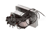 U03011200001 Globe Motor