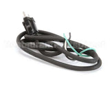 U03021205012 Globe Plug & Lead