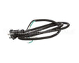 U03021205013 Globe Plug & Lead - 240V