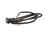 U03021205013 Globe Plug & Lead - 240V