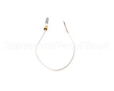 U03111250027 Globe Thermocouple Assembly.