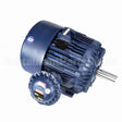 U073A Marathon Motor