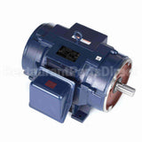 U455A Marathon Motor
