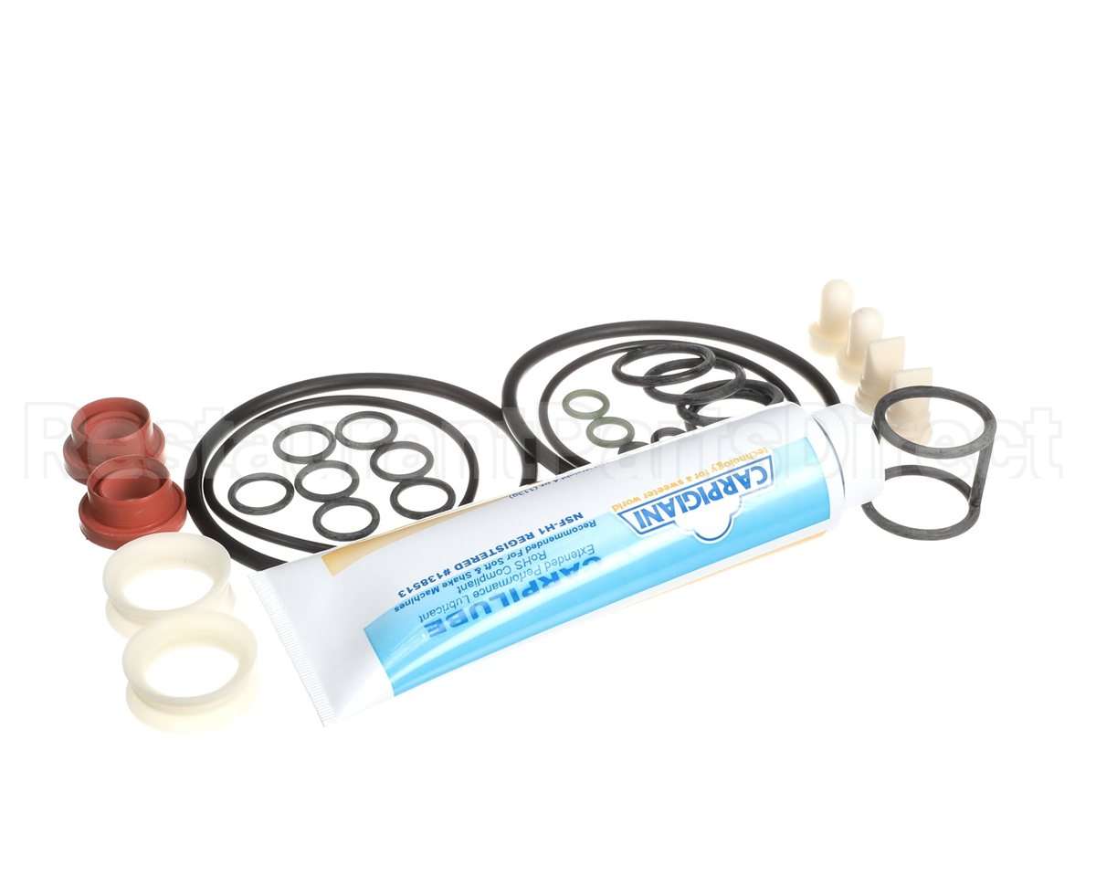 US193-024876 Carpigiani Tune Up Kit Minor Uf253/203P