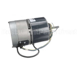 V90350 Aaon 1/3Hp 460V 1200Rpm Ecm Motor