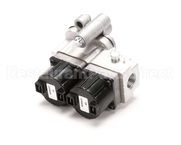 VA-28189 Alto Shaam Valve,Combination,Asc-4G
