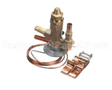 VAL09069 Trane Valve, Relief, 300 Psig