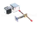 W0650029 Grindmaster Cecilware Valve, Solenoid Complete