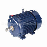 W560-P Marathon Motor