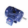 W601A Marathon Motor