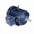 W604B Marathon Motor
