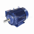 W606A Marathon Motor