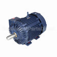 W618-P Marathon Motor