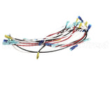 W6655 Nemco Wire Set, 6655