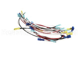 W6655 Nemco Wire Set, 6655