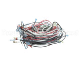 W6900 Nemco Wire Harness