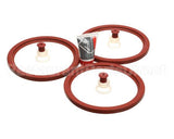 WC-100128 Wilbur Curtis Tune Up Kit 3 Bowls