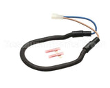 WC-37163 Wilbur Curtis Kit, Warmer Element 100W 220V