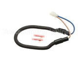 WC-37163 Wilbur Curtis Kit, Warmer Element 100W 220V