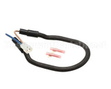 WC-37163 Wilbur Curtis Kit, Warmer Element 100W 220V