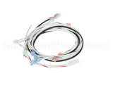 WC13200-120 Wilbur Curtis Harness Assy, Warmers 120V