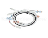 WC13200-120 Wilbur Curtis Harness Assy, Warmers 120V