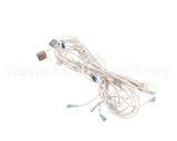 WH0128 Bki Harness