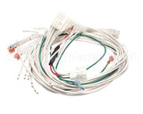 WH0129 Bki Wiring Harness, Ignition Syste