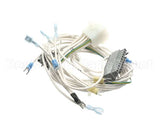 WH0162 Bki Wire Harness, Control Panel, L