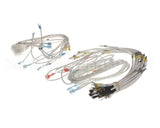 WH0167 Bki Wiring Harness, Control Plate