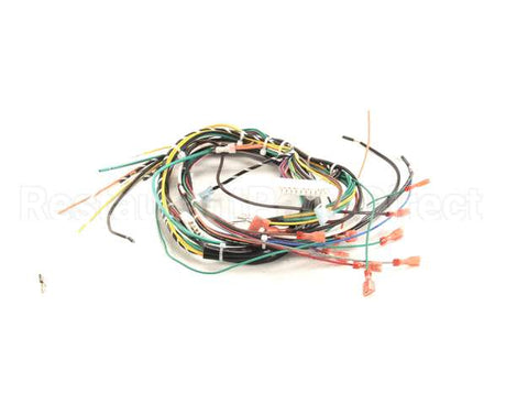 WHKGT-2 Cleveland Harness; Kgt