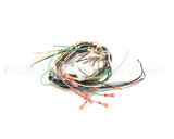 WHKGT-2 Cleveland Harness; Kgt