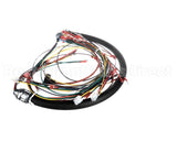 WHSGLT1 Cleveland Wiring Harness; Sglt1
