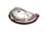 WHSGLT1 Cleveland Wiring Harness; Sglt1