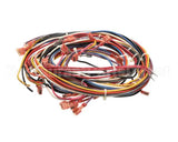 WHSGLT4-PT Cleveland Harness; Pt/Sgl-T4