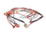 WHT300951 Cleveland Control Panel Harness; 22C Et3.1Mcs,208/
