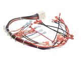 WHT300951 Cleveland Control Panel Harness; 22C Et3.1Mcs,208/