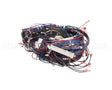 WIR02346 Trane Wire Harness Control Panel-80467
