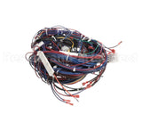 WIR02346 Trane Wire Harness Control Panel-80467
