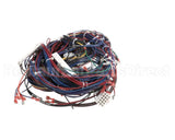 WIR02346 Trane Wire Harness Control Panel-80467